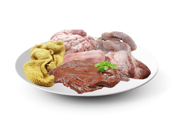 AGNEAU